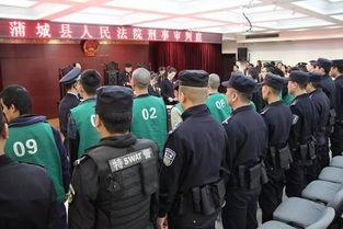 蒲城最近爆料案件最新,最新案件细节曝光，真相令人震惊！  第2张